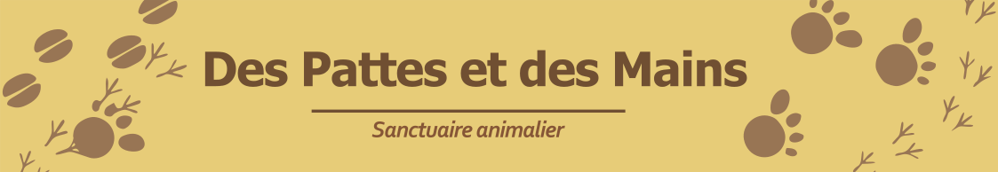 Titre du header